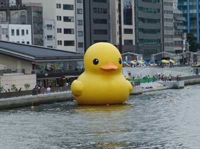 Floating duck 2